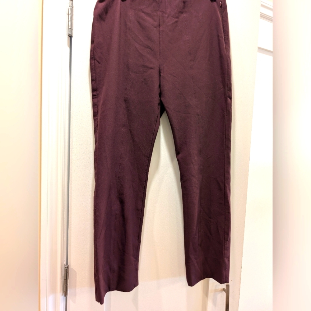 Vince Side Zip Ankle Pants,L